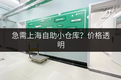急需上海自助小仓库？价格透明，多种选择任你挑！