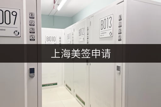 上海美签申请，行李寄存服务推荐及攻略