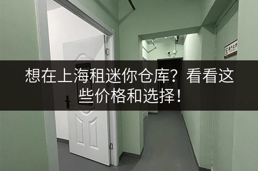 想在上海租迷你仓库？看看这些价格和选择！