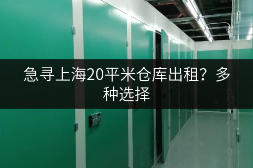 急寻上海20平米仓库出租？多种选择，满足您的需求