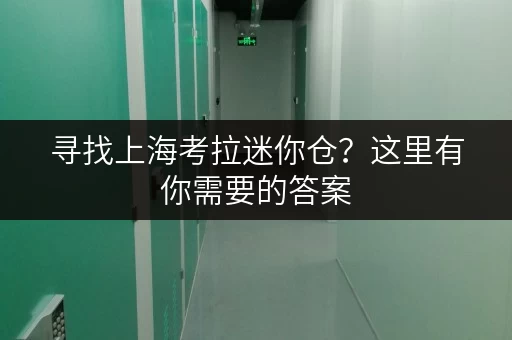 寻找上海考拉迷你仓？这里有你需要的答案