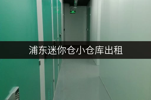 浦东迷你仓小仓库出租，价格多少？带你了解租赁费用！
