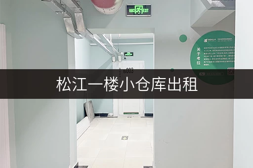 松江一楼小仓库出租，多种面积选择，价格可议