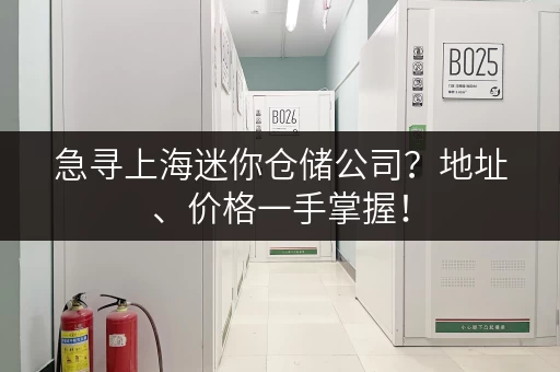 急寻上海迷你仓储公司？地址、价格一手掌握！