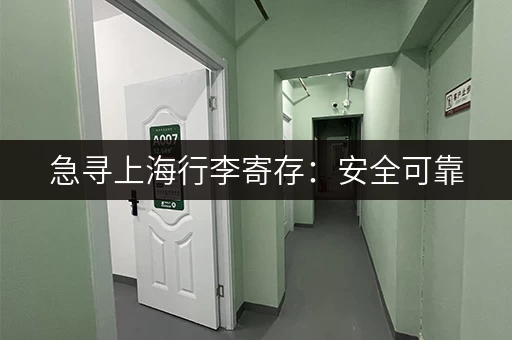 急寻上海行李寄存：安全可靠，价格透明！