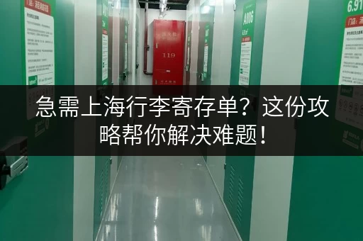 急需上海行李寄存单？这份攻略帮你解决难题！