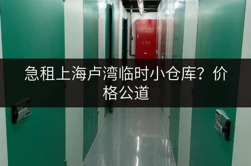 急租上海卢湾临时小仓库？价格公道，多种面积可选！