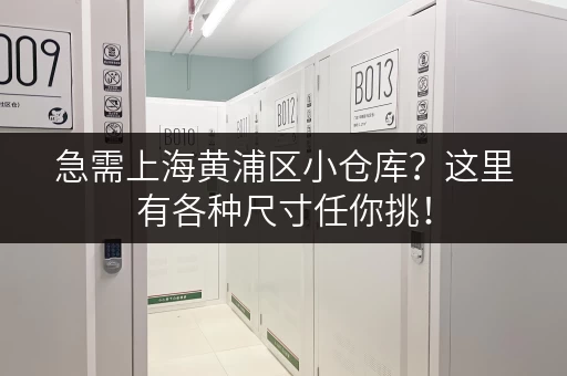 急需上海黄浦区小仓库？这里有各种尺寸任你挑！