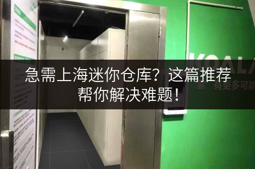 急需上海迷你仓库？这篇推荐帮你解决难题！