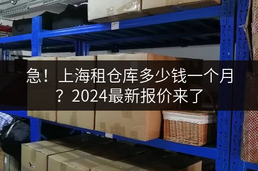 急！上海租仓库多少钱一个月？2024最新报价来了