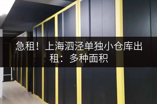 急租！上海泗泾单独小仓库出租：多种面积，灵活租赁，手续简便