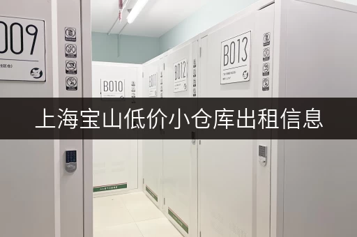 上海宝山低价小仓库出租信息，多少钱一个月？