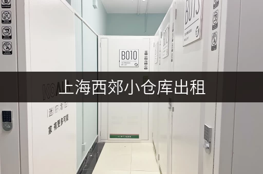 上海西郊小仓库出租，低价700平米仓储空间
