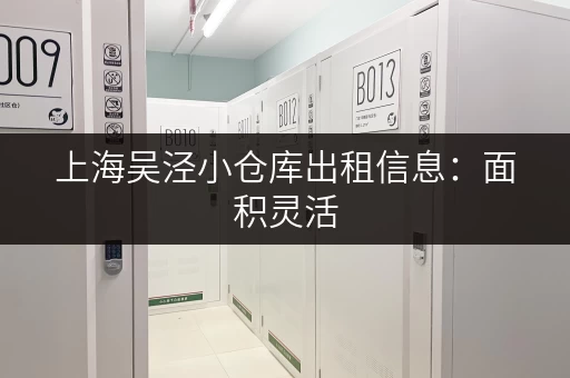 上海吴泾小仓库出租信息：面积灵活，价格实惠，交通便利
