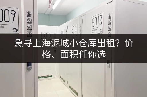 急寻上海泥城小仓库出租?价格、面积任你选 急寻上海泥城小仓库出租?价格、面积任你选