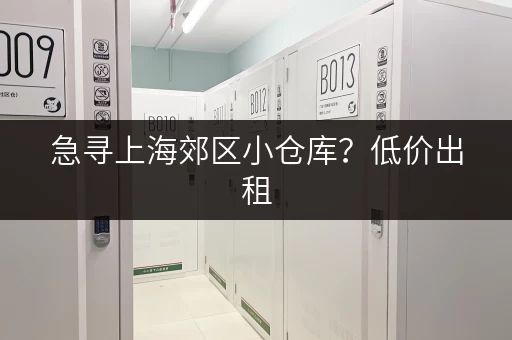 急寻上海郊区小仓库？低价出租，多种选择任你挑