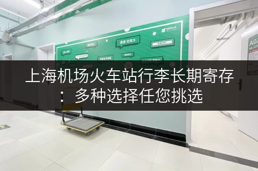 上海机场火车站行李长期寄存：多种选择任您挑选