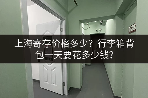上海寄存价格多少？行李箱背包一天要花多少钱？