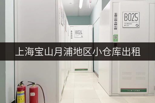 上海宝山月浦地区小仓库出租，电话咨询，多种面积选择