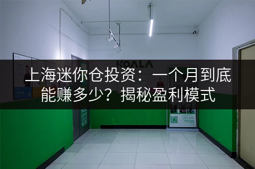 上海迷你仓投资：一个月到底能赚多少？揭秘盈利模式