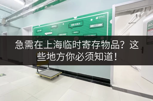 急需在上海临时寄存物品？这些地方你必须知道！