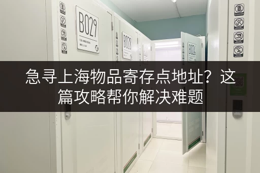 急寻上海物品寄存点地址？这篇攻略帮你解决难题
