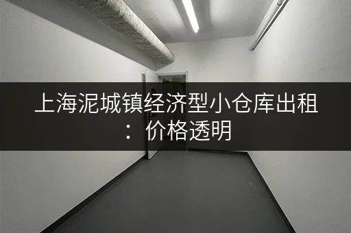上海泥城镇经济型小仓库出租：价格透明，位置优越