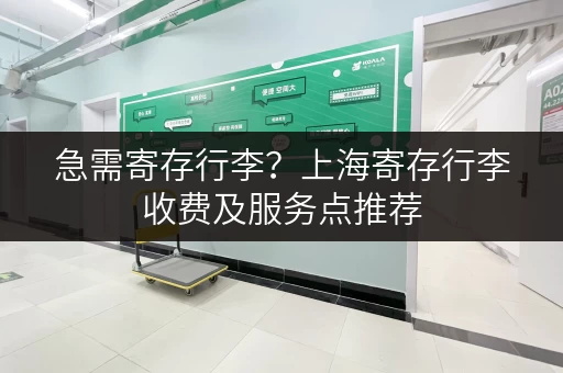 急需寄存行李？上海寄存行李收费及服务点推荐
