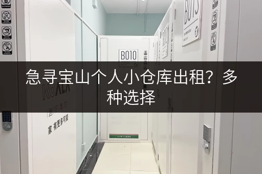 急寻宝山个人小仓库出租？多种选择，满足您的个性化需求