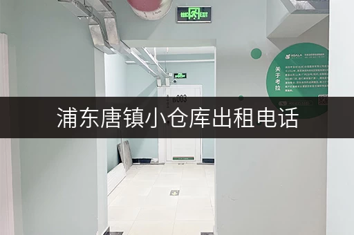 浦东唐镇小仓库出租电话，多种面积选择，满足您的需求！
