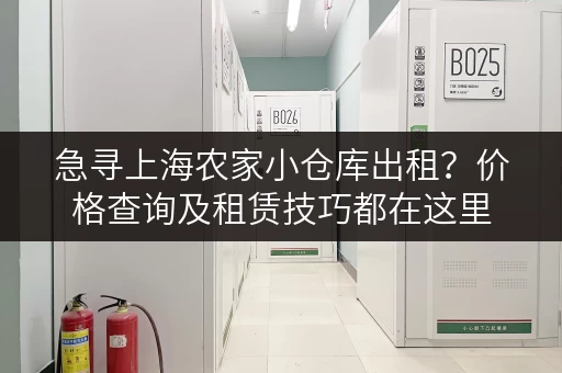 急寻上海农家小仓库出租？价格查询及租赁技巧都在这里