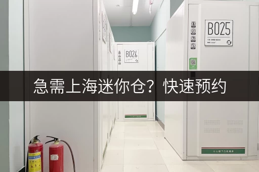 急需上海迷你仓？快速预约，方便快捷的自助仓储