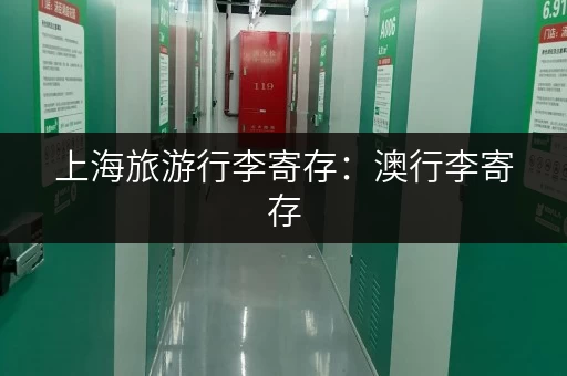 上海旅游行李寄存：澳行李寄存，价格低至5元天