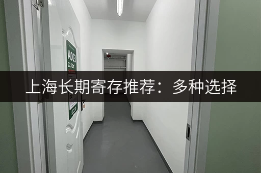上海长期寄存推荐：多种选择，满足您的不同需求