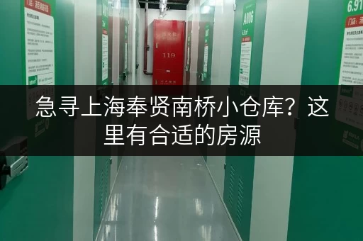 急寻上海奉贤南桥小仓库？这里有合适的房源