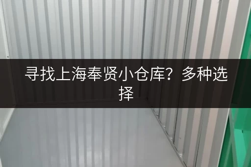 寻找上海奉贤小仓库？多种选择，租金低廉，安全可靠