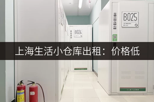 上海生活小仓库出租：价格低，空间大，安全可靠！