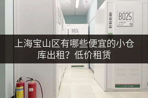 上海宝山区有哪些便宜的小仓库出租？低价租赁，安全可靠，立即咨询！