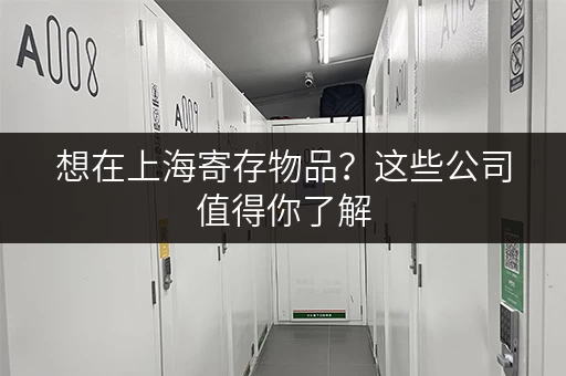 想在上海寄存物品？这些公司值得你了解
