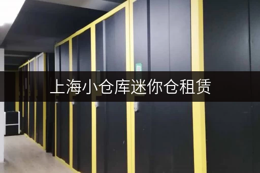上海小仓库迷你仓租赁，解决你的收纳难题