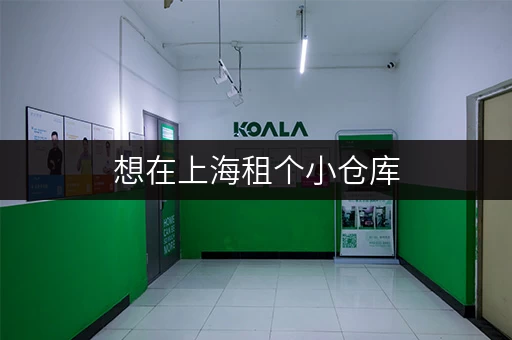 想在上海租个小仓库，有哪些选择？如何比较？