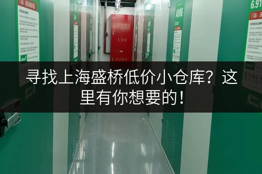 寻找上海盛桥低价小仓库？这里有你想要的！