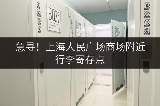 急寻！上海人民广场商场附近行李寄存点