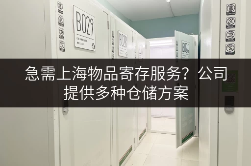 急需上海物品寄存服务？公司提供多种仓储方案