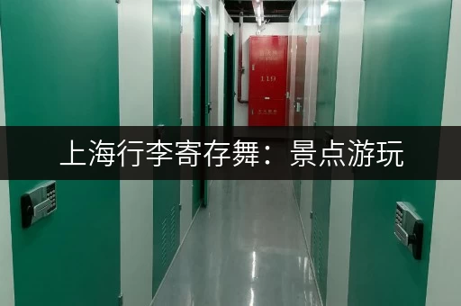 上海行李寄存舞：景点游玩，行李寄存方便又快捷