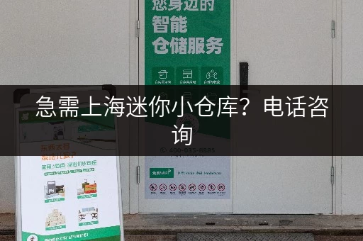 急需上海迷你小仓库？电话咨询，快速解决您的难题！
