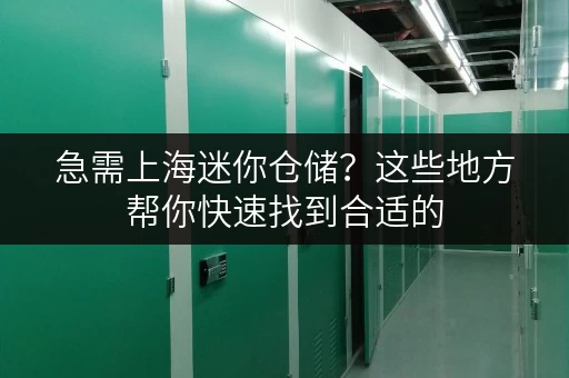 急需上海迷你仓储？这些地方帮你快速找到合适的