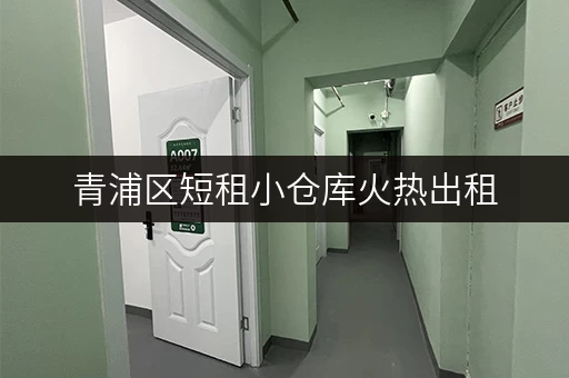 青浦区短租小仓库火热出租，多种面积任您选择
