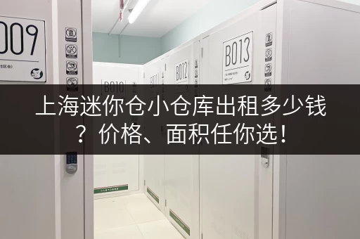 上海迷你仓小仓库出租多少钱？价格、面积任你选！