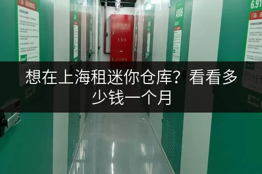 想在上海租迷你仓库？看看多少钱一个月，超实用价格指南！